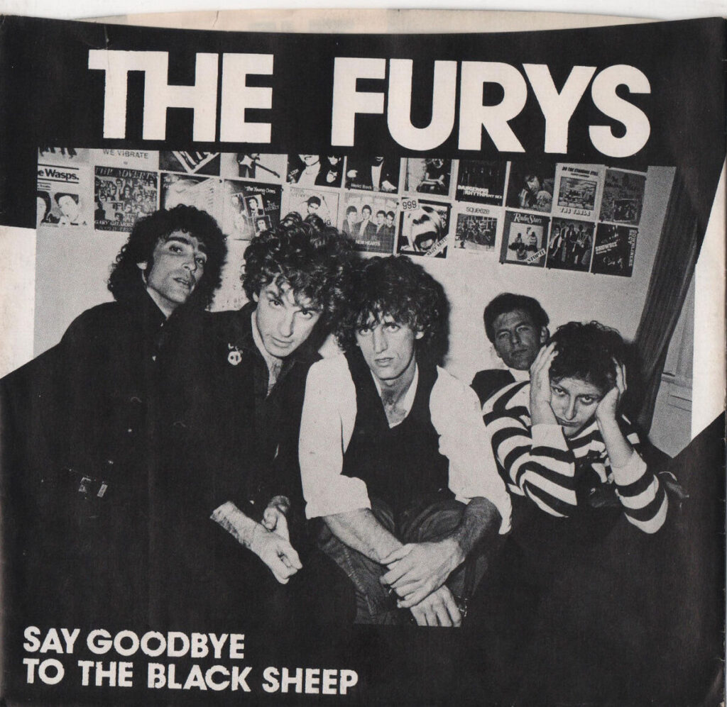 Say Goodbye to the Black Sheep 1978 single by The Furys